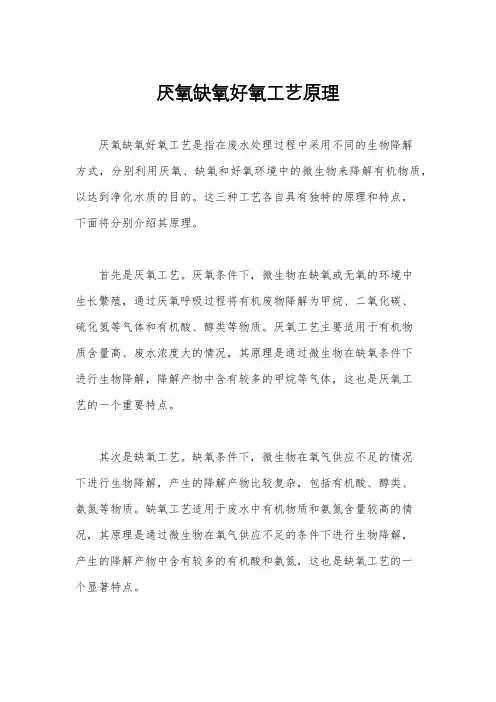 厌氧缺氧好氧工艺原理