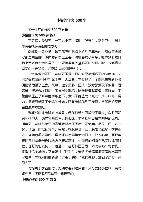 关于小猫的作文600字五篇