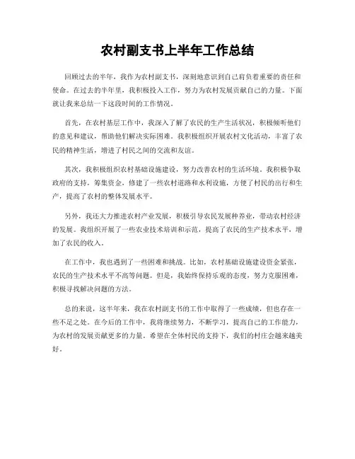 农村副支书上半年工作总结