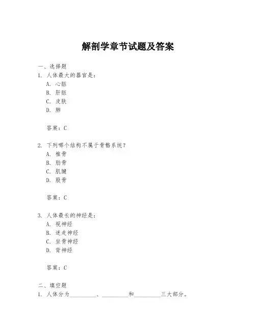 解剖学章节试题及答案