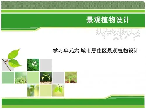 景观植物设计6-1居住区绿地类型和绿化指标