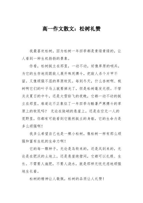高一作文散文：松树礼赞