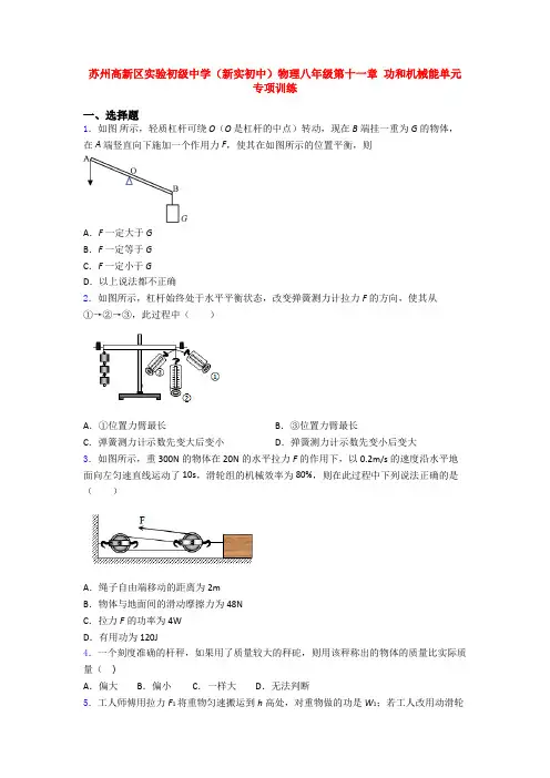 苏州高新区实验初级中学(新实初中)物理八年级第十一章 功和机械能单元专项训练
