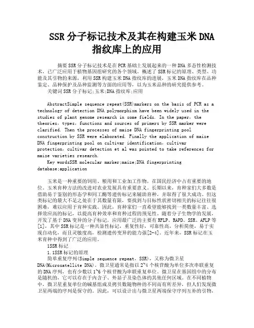 SSR分子标记技术及其在构建玉米DNA指纹库上的应用