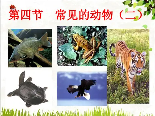 浙教版七年级科学上册2.4常见的动物2