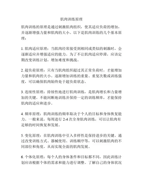 肌肉训练原理