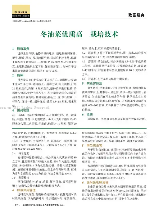 冬油菜优质高产栽培技术