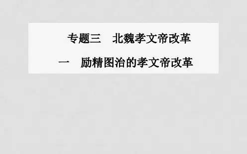 高中历史 专题三、一励精图治的孝文帝改革课件 人民版选修1