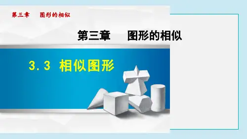 相似图形PPT课件