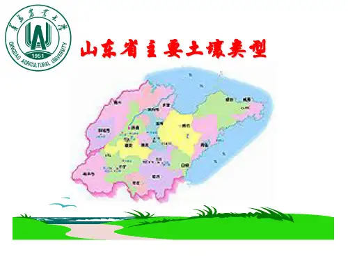 山东省主要土壤类型