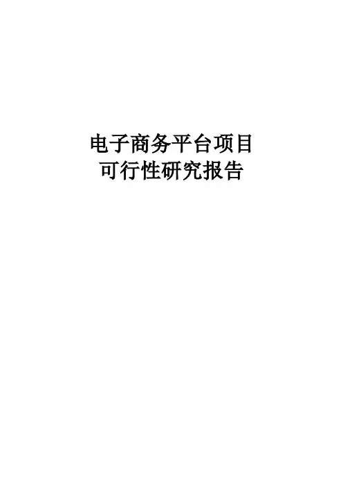 电子商务平台项目可行性研究报告