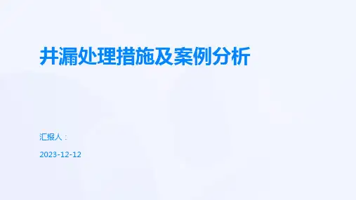 井漏处理措施及案例分析