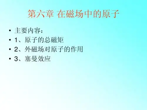 在磁场中的原子