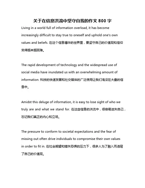 关于在信息洪流中坚守自我的作文800字