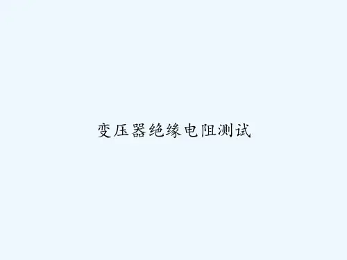 变压器绝缘电阻测试 PPT