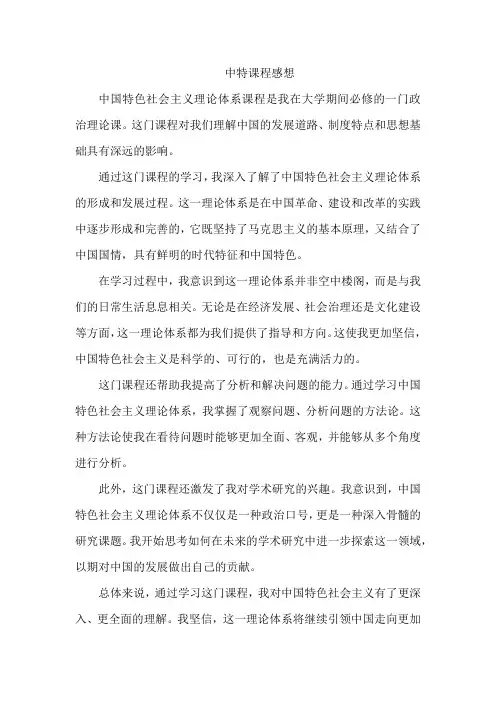中特 课程感想