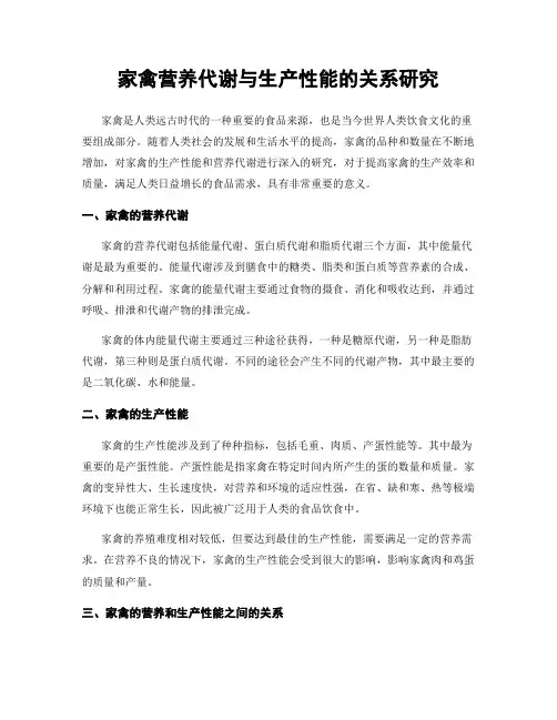 家禽营养代谢与生产性能的关系研究