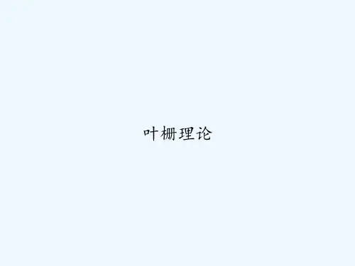 叶栅理论 PPT