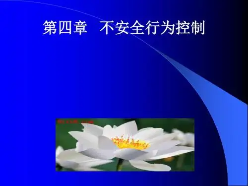 《不安全行为控制》PPT课件