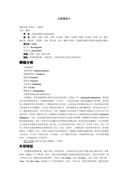 大熊猫简介
