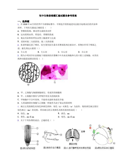 初中生物易错题汇编试题含参考答案