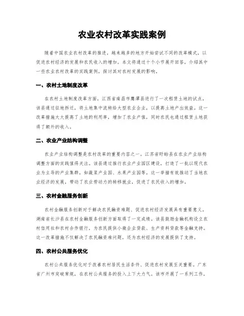农业农村改革实践案例