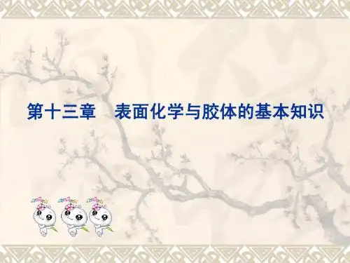 第十三章表面化学与胶体的基本知识
