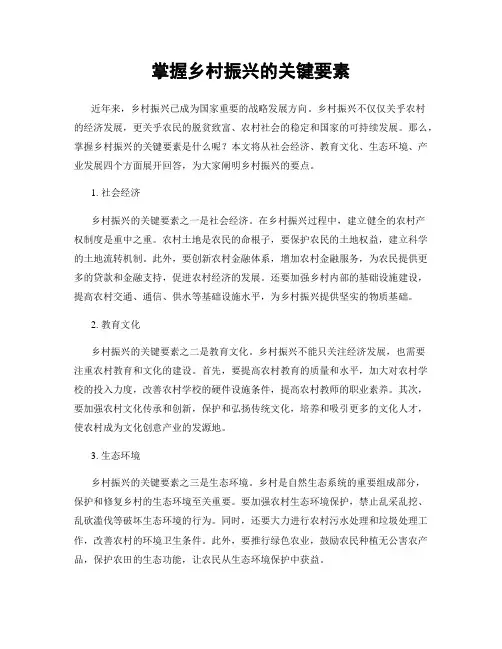 掌握乡村振兴的关键要素