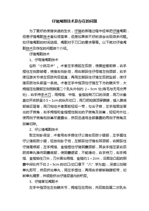 仔猪阉割技术及存在的问题