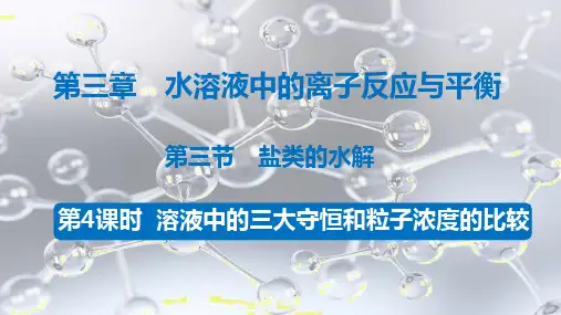 3.3.4三大守恒溶液中粒子浓度比较课件高二上学期化学人教版选择性必修1