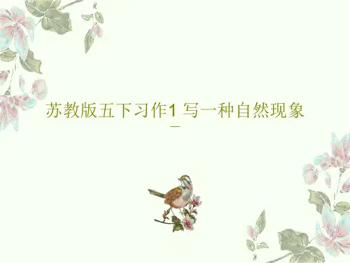苏教版五下习作1 写一种自然现象共67页PPT