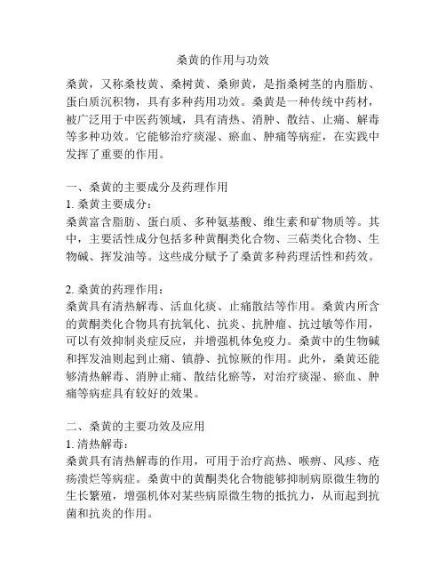 桑黄的作用与功效