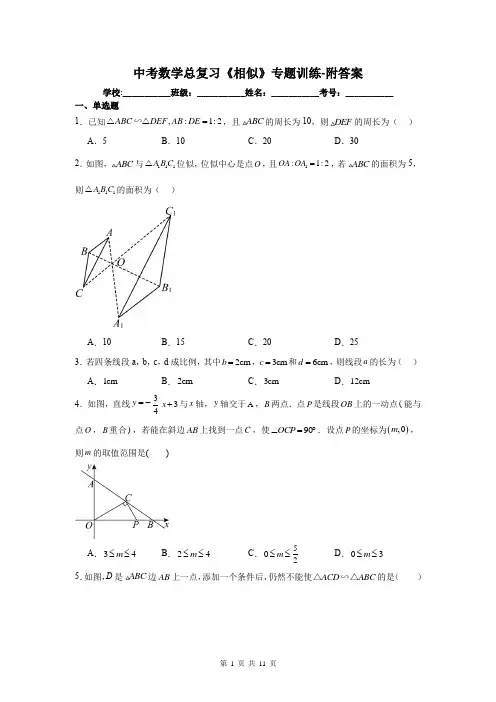 中考数学总复习《相似》专题训练-附答案