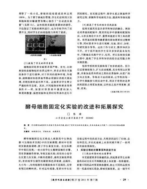 酵母细胞固定化实验的改进和拓展探究
