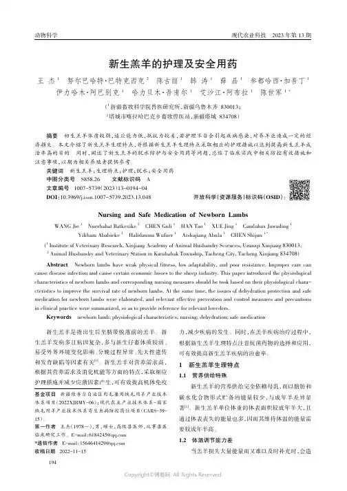 新生羔羊的护理及安全用药
