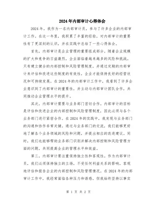 2024年内部审计心得体会