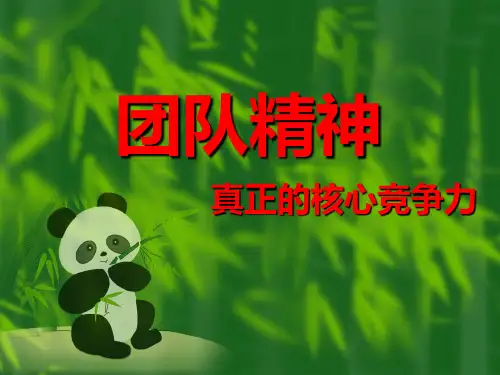 团队精神课件