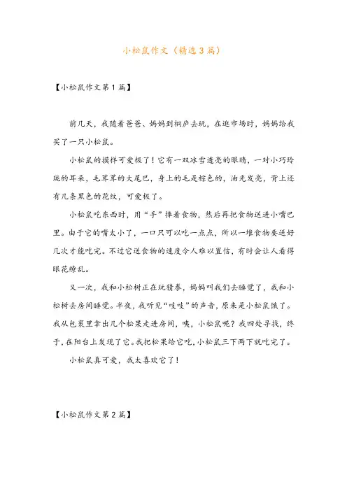 小松鼠作文(精选3篇)