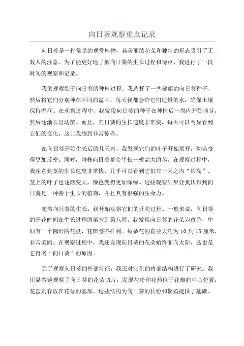 向日葵观察重点记录