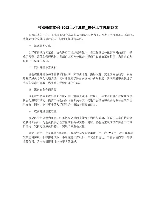 书法摄影协会2022工作总结_协会工作总结范文