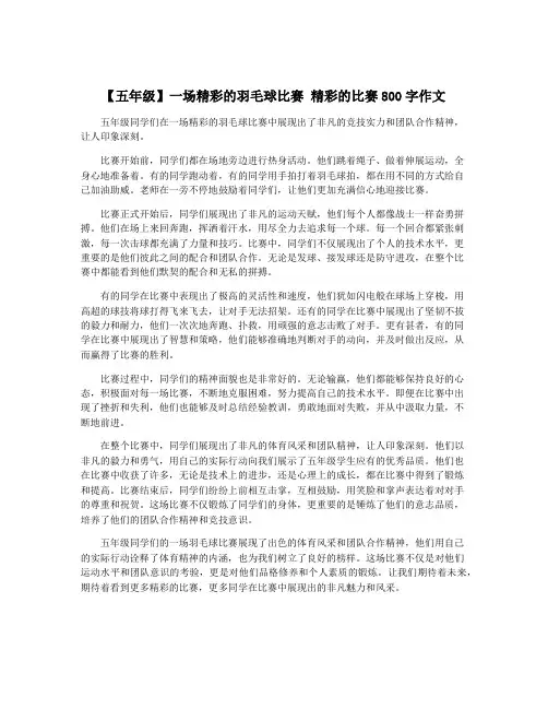 【五年级】一场精彩的羽毛球比赛 精彩的比赛800字作文