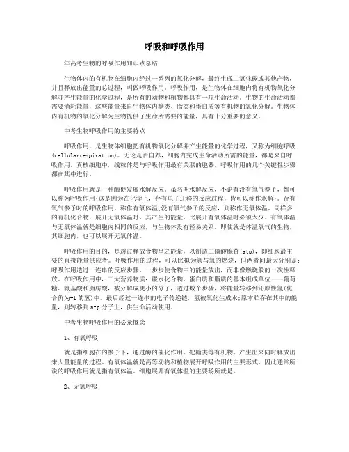 呼吸和呼吸作用