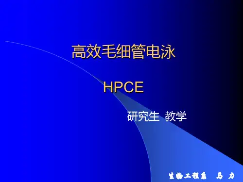 高效毛细管电泳HPCE