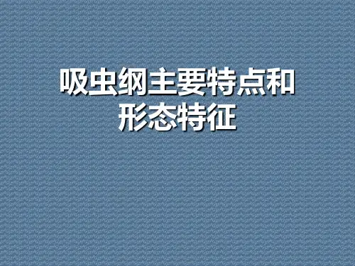 吸虫纲主要特点和形态特征