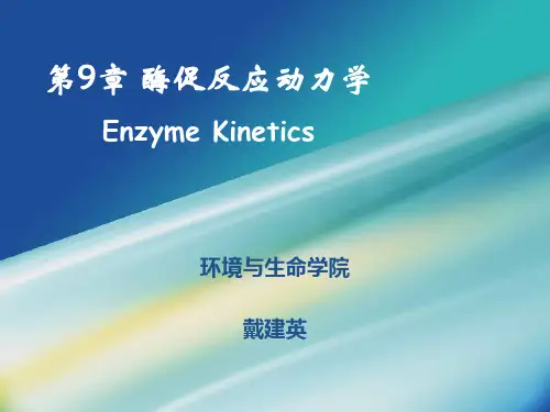 第9章 酶促反应动力学