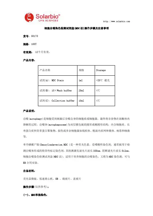 细胞自噬染色检测试剂盒(MDC法)操作步骤及注意事项