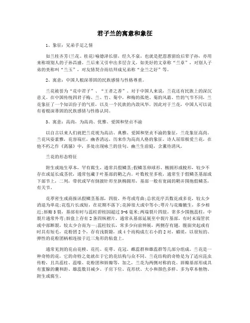 君子兰的寓意和象征