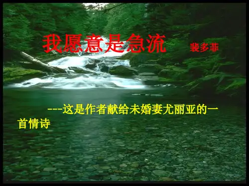 《我愿意是急流》ppt课件(30张)