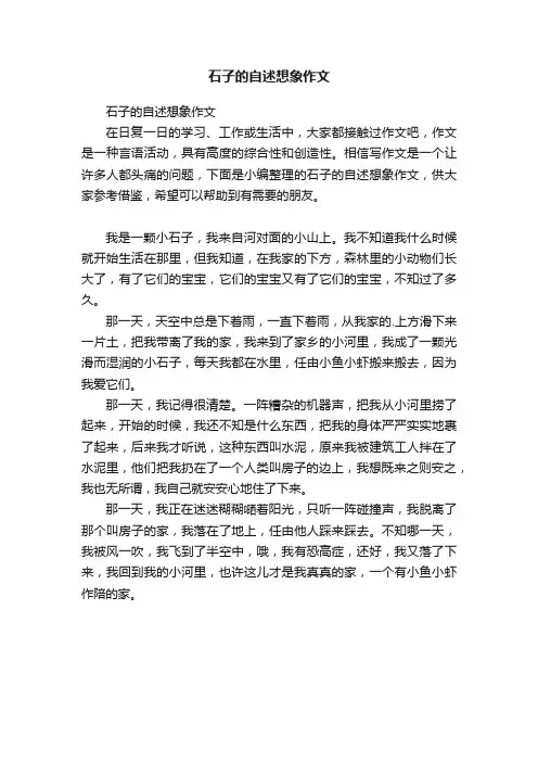 石子的自述想象作文