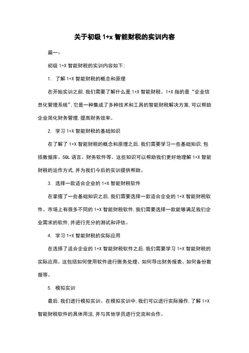 关于初级1+x智能财税的实训内容